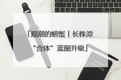 观潮的螃蟹丨长株潭“合体”蓝图升级