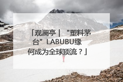 观澜亭｜“塑料茅台”LABUBU缘何成为全球顶流？