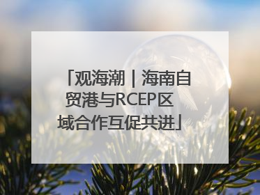 观海潮｜海南自贸港与RCEP区域合作互促共进
