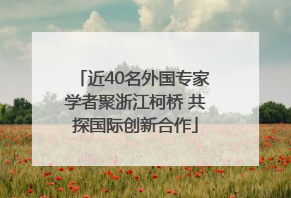 近40名外国专家学者聚浙江柯桥 共探国际创新合作
