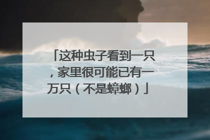 这种虫子看到一只，家里很可能已有一万只（不是蟑螂）