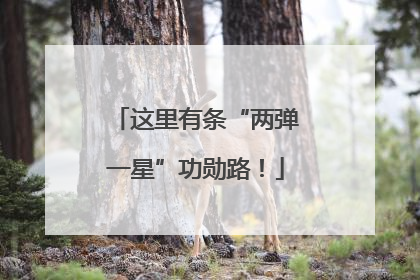 这里有条“两弹一星”功勋路！