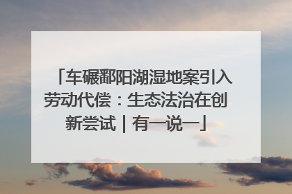 车碾鄱阳湖湿地案引入劳动代偿：生态法治在创新尝试｜有一说一