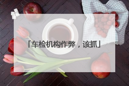 车检机构作弊，该抓