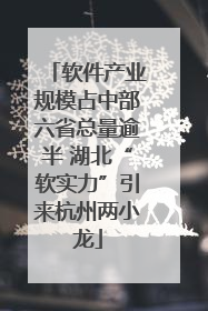 软件产业规模占中部六省总量逾半 湖北“软实力”引来杭州两小龙
