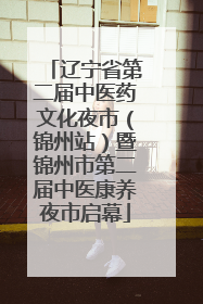 辽宁省第二届中医药文化夜市（锦州站）暨锦州市第二届中医康养夜市启幕