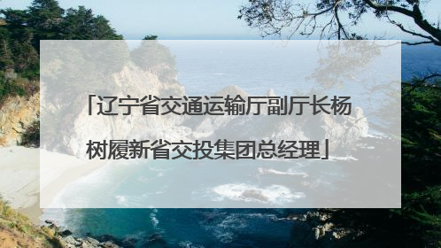 辽宁省交通运输厅副厅长杨树履新省交投集团总经理