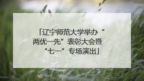 辽宁师范大学举办“两优一先”表彰大会暨“七一”专场演出