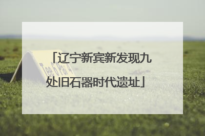 辽宁新宾新发现九处旧石器时代遗址