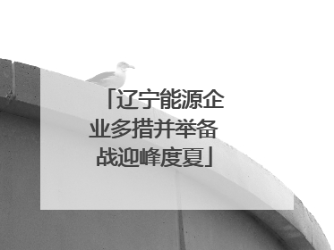 辽宁能源企业多措并举备战迎峰度夏