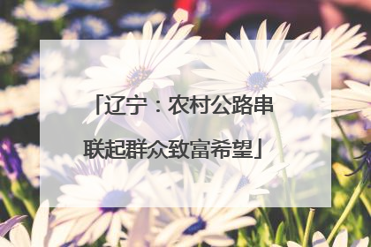 辽宁：农村公路串联起群众致富希望