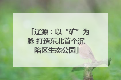 辽源：以“矿”为脉 打造东北首个沉陷区生态公园