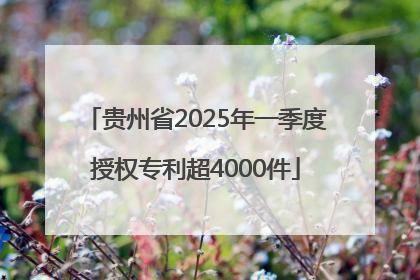 贵州省2025年一季度授权专利超4000件