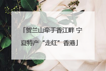贺兰山牵手香江畔 宁夏特产“走红”香港