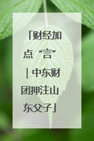 财经加点“言”｜中东财团押注山东父子