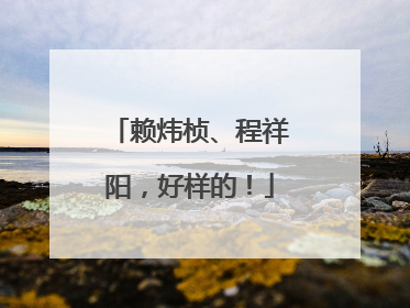 赖炜桢、程祥阳，好样的！