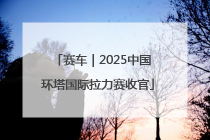赛车｜2025中国环塔国际拉力赛收官