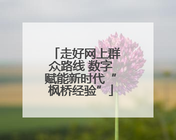 走好网上群众路线 数字赋能新时代“枫桥经验”