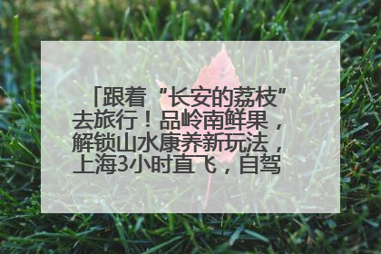 跟着“长安的荔枝”去旅行！品岭南鲜果，解锁山水康养新玩法，上海3小时直飞，自驾高速费优惠