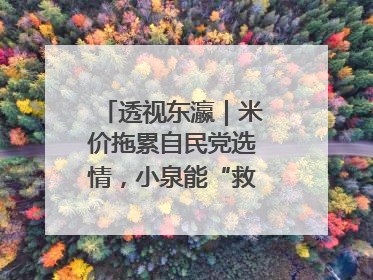 透视东瀛｜米价拖累自民党选情，小泉能“救”石破茂吗
