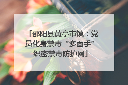 邵阳县黄亭市镇：党员化身禁毒“多面手” 织密禁毒防护网