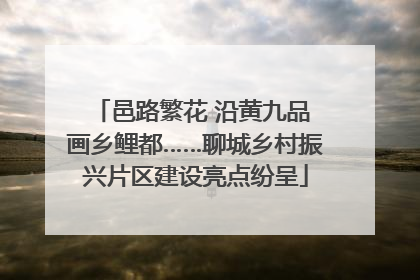 邑路繁花 沿黄九品 画乡鲤都……聊城乡村振兴片区建设亮点纷呈
