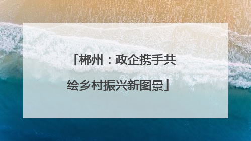 郴州：政企携手共绘乡村振兴新图景