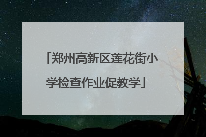 郑州高新区莲花街小学检查作业促教学