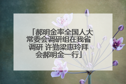 郝明金率全国人大常委会调研组在我省调研 许勤梁惠玲拜会郝明金一行