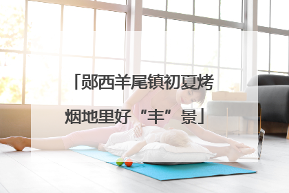 郧西羊尾镇初夏烤烟地里好“丰”景