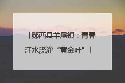 郧西县羊尾镇：青春汗水浇灌“黄金叶”