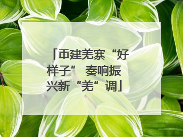 重建羌寨“好样子” 奏响振兴新“羌”调
