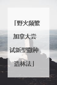 野火频繁 加拿大尝试新型撒种造林法