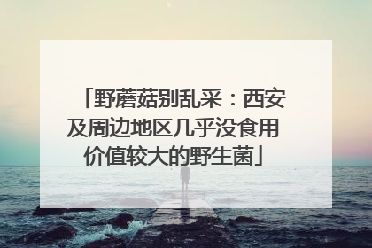 野蘑菇别乱采：西安及周边地区几乎没食用价值较大的野生菌