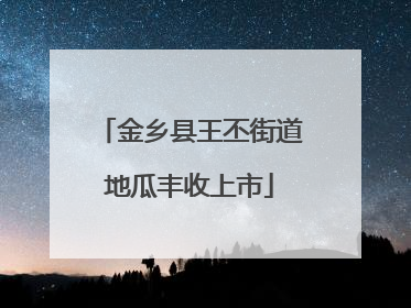 金乡县王丕街道地瓜丰收上市