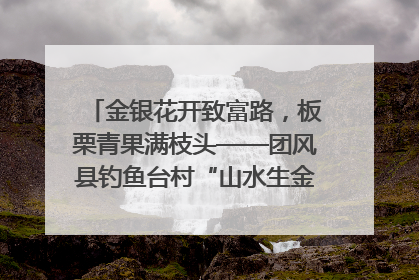 金银花开致富路，板栗青果满枝头——团风县钓鱼台村“山水生金”谱写共富新篇章