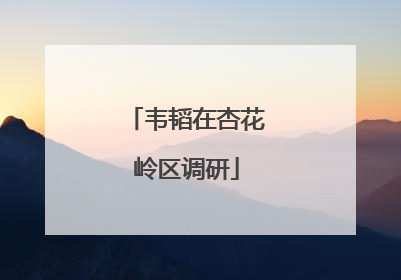 韦韬在杏花岭区调研