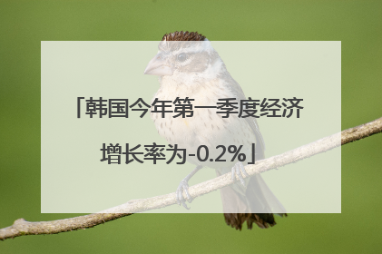 韩国今年第一季度经济增长率为-0.2%