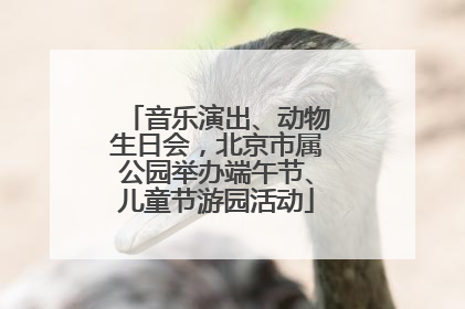 音乐演出、动物生日会，北京市属公园举办端午节、儿童节游园活动