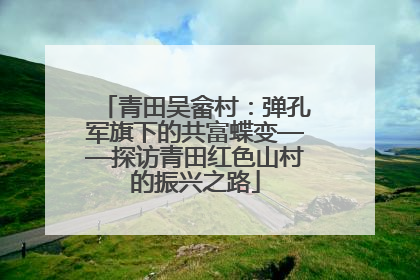 青田吴畲村：弹孔军旗下的共富蝶变——探访青田红色山村的振兴之路
