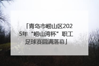青岛市崂山区2025年“崂山湾杯”职工足球赛圆满落幕