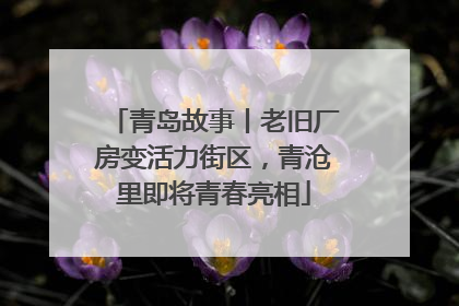 青岛故事丨老旧厂房变活力街区，青沧里即将青春亮相
