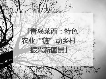 青岛莱西：特色农业“链”动乡村振兴新图景