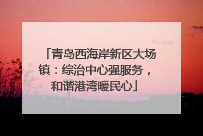 青岛西海岸新区大场镇：综治中心强服务，和谐港湾暖民心