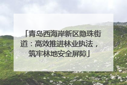 青岛西海岸新区隐珠街道：高效推进林业执法，筑牢林地安全屏障