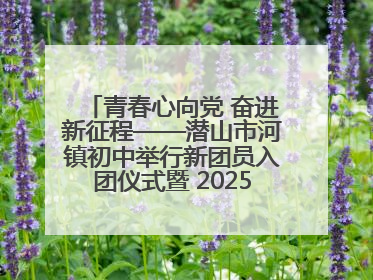 青春心向党 奋进新征程——潜山市河镇初中举行新团员入团仪式暨 2025年度团员大会