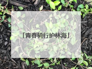 青春骑行护林海