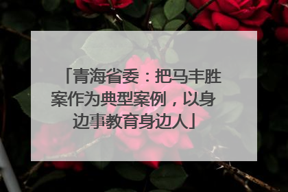 青海省委：把马丰胜案作为典型案例，以身边事教育身边人
