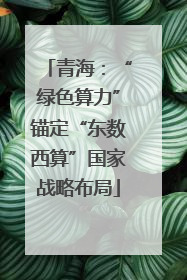 青海：“绿色算力”锚定“东数西算”国家战略布局
