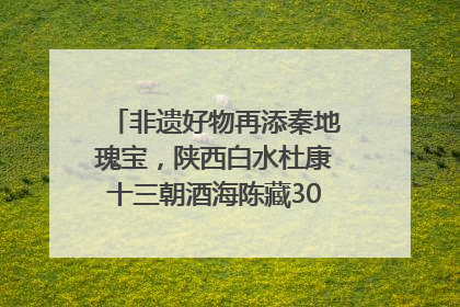 非遗好物再添秦地瑰宝，陕西白水杜康十三朝酒海陈藏30年别具一格